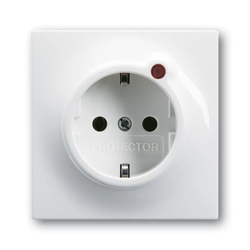 Busch-Jaeger 2310 EUGL/VA-74-11 Steckdose