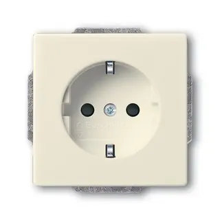 Busch-Jaeger 20 EUCBLI-82 SCHUKO-Steckdoseneinsatz