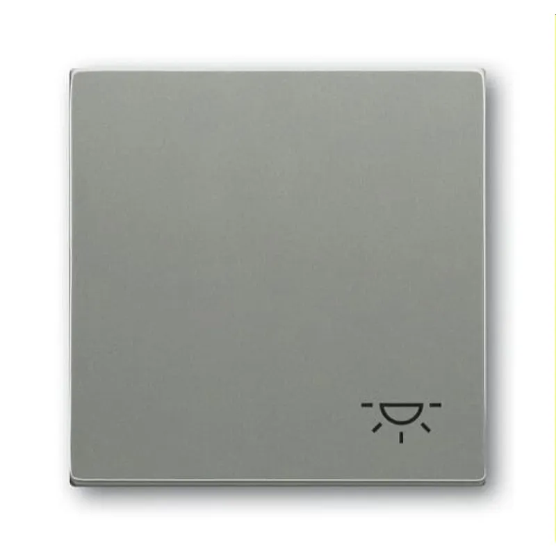 Busch-Jaeger Wippe 2520 LI-803 Symbol Licht, graumetallisch