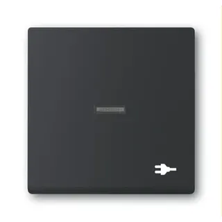 Busch-Jaeger Wippe 1789 ST-885 mit Symbol Stecker, schwarz matt