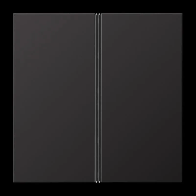 Jung Tastensatz 2fach, F40, Serie LS, dark (lackiertes Aluminium) AL2402TSAD