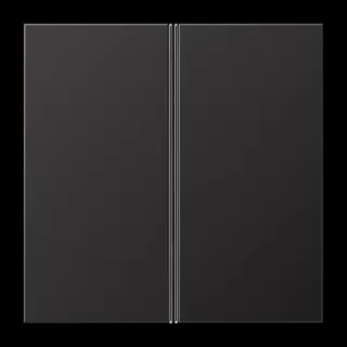 Jung Tastensatz 2fach, F40, Serie LS, dark (lackiertes Aluminium) AL2402TSAD