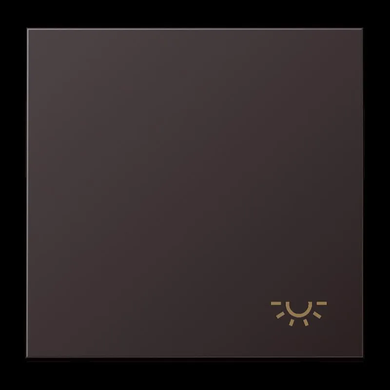 Jung Wippe 1fach, Symbol Licht, Aluminium lackiert, Serie LS, dark (lackiertes Aluminium) AL2990LD