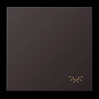 Jung Wippe 1fach, Symbol Licht, Aluminium lackiert, Serie LS, dark (lackiertes Aluminium) AL2990LD