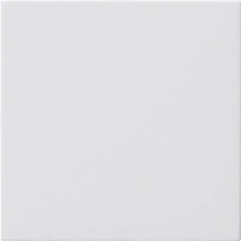 Gira Blindabdeckung 810803 o.Tragring System 55 reinweiww 810803