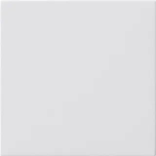 Gira Blindabdeckung 810803 o.Tragring System 55 reinweiww 810803