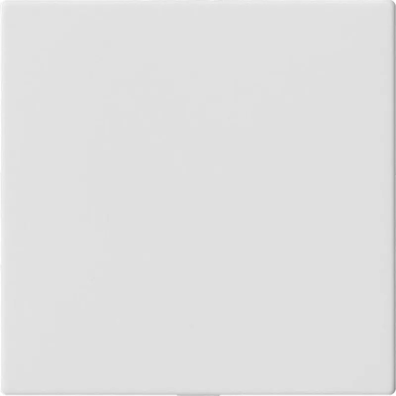 Gira Blindabdeckung 810827 o. Tragring System 55 reinweiss 810827