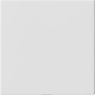 Gira Blindabdeckung 810827 o. Tragring System 55 reinweiss 810827