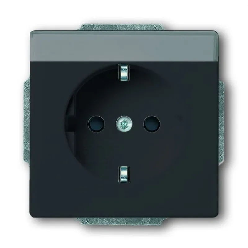 Busch-Jaeger Steckdoseneinsatz SCHUKO 20 EUCNB-81