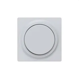 Siemens Abdeckplatte aluminium-metallic 5TC8902