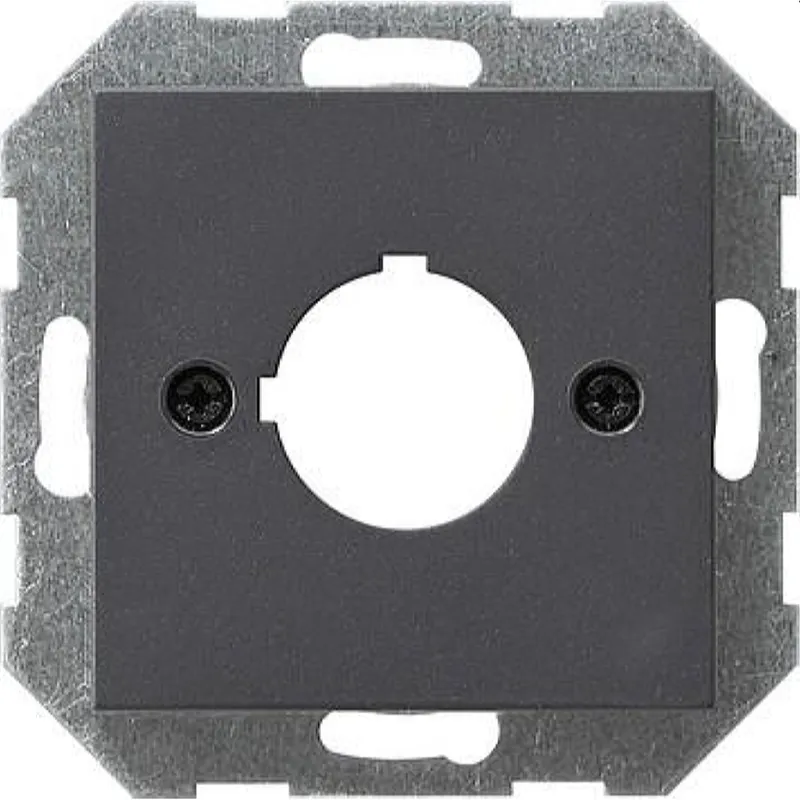 Gira Abdeckung 027228 +Tragring Geraete System 55 Ant