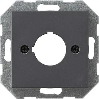 Gira Abdeckung 027228 +Tragring Geraete System 55 Ant