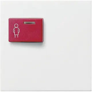 Gira Abdeckung 022603 Ack 73073F 73073F3 System 55 rwm