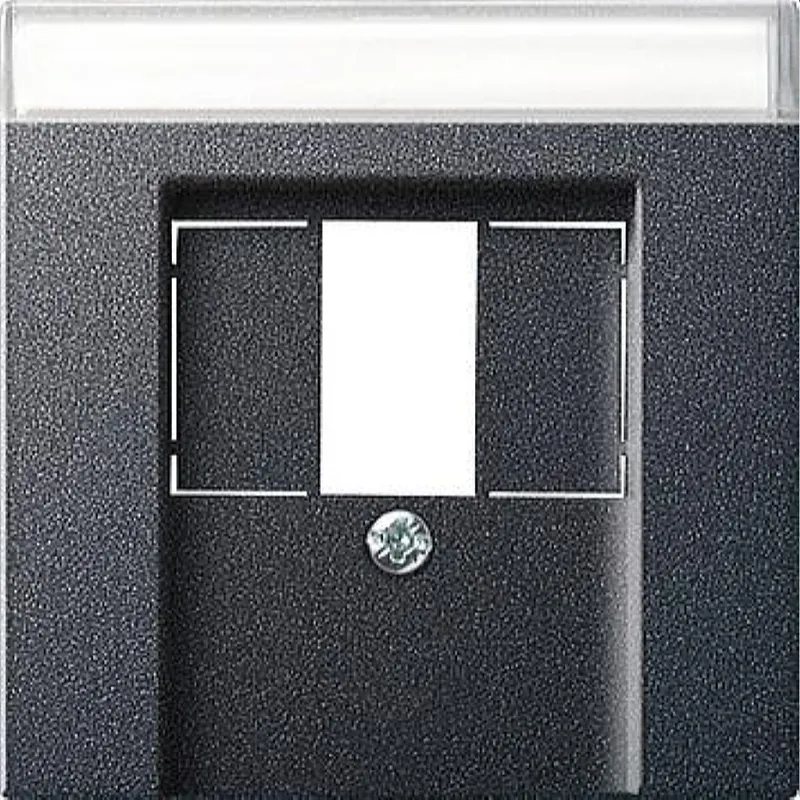 Gira Abdeckung 087628 BSF TAE Stereo USB System 55 ant