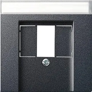 Gira Abdeckung 087628 BSF TAE Stereo USB System 55 ant