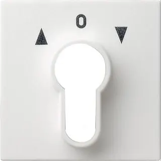 Gira Abdeckung 066427 Schluesselschalter System 55 rw m