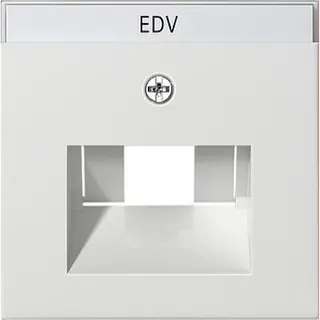 Gira Abdeckung 028427 BSF UAE/IAE ISDN System55 rw matt