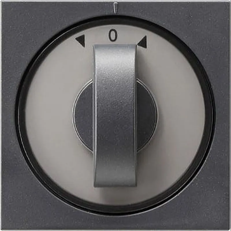 Gira Abdeckung 066628 Knebel Zeit+Jalousie System55 Ant