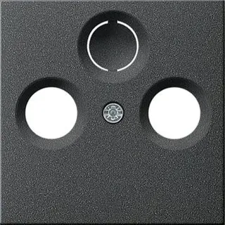 Gira Antennenabdeckung 086928 Antennensteckd. System 55 ant