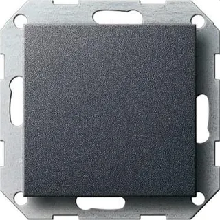 Gira Blindabdeckung 026828 + Tragring System 55 anthrazit