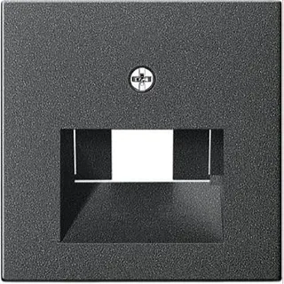 Gira Abdeckung 027028 UAE /IAE (ISDN) System 55 ant