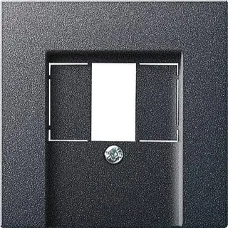Gira Abdeckung 027628 TAE Stereo USB System 55 ant