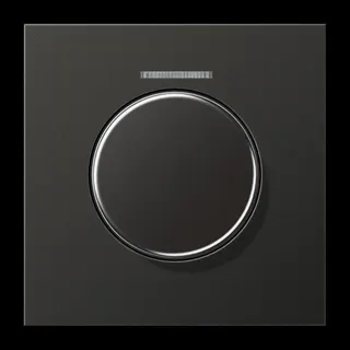 Jung Abdeckung mit Lichtleiter für KNX Drehsensor, Aluminium lackiert, Serie LS, anthrazit (lackiertes Aluminium) AL1940KO5AN