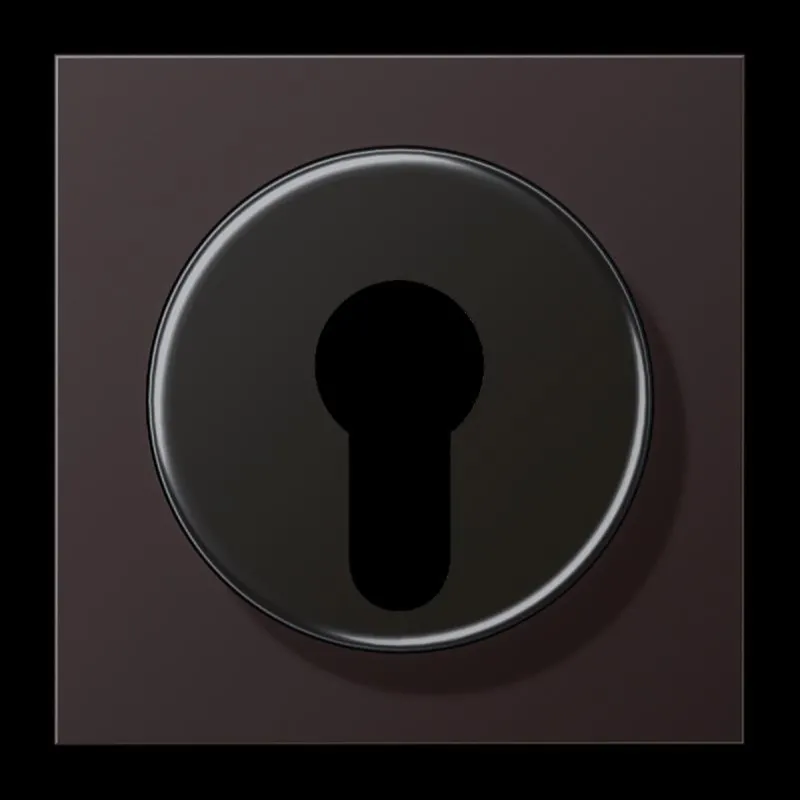 Jung Abdeckung für Schlüsselschalter mit Demontageschutz, Aluminium lackiert, Serie LS, dark (lackiertes Aluminium) AL2928D