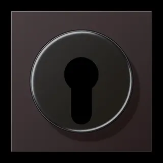 Jung Abdeckung für Schlüsselschalter mit Demontageschutz, Aluminium lackiert, Serie LS, dark (lackiertes Aluminium) AL2928D