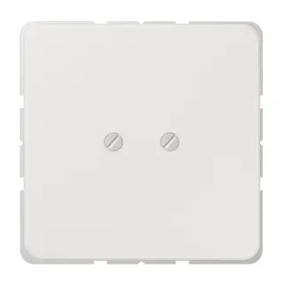 Jung Blind-Abdeckung (geschraubt), Duroplast, Serie CD, lichtgrau CD561BLG