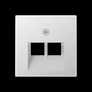 Jung Abdeckung für IAE/UAE-Anschlussdosen 2 x 8-polig, Thermoplast lackiert, Serie A, aluminium A569-2BFPLUAAL