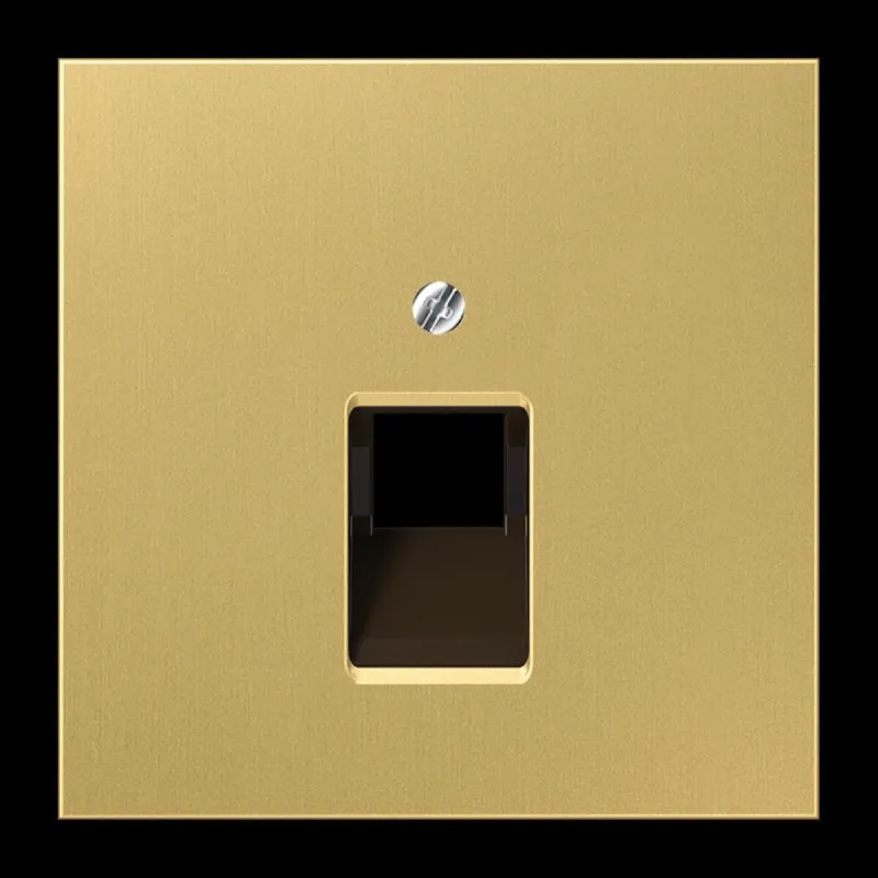 Jung Abdeckung für IAE/UAE-Anschlussdosen 1 x 8-polig, Messing, Serie LS, Messing classic ME2969-1UAC