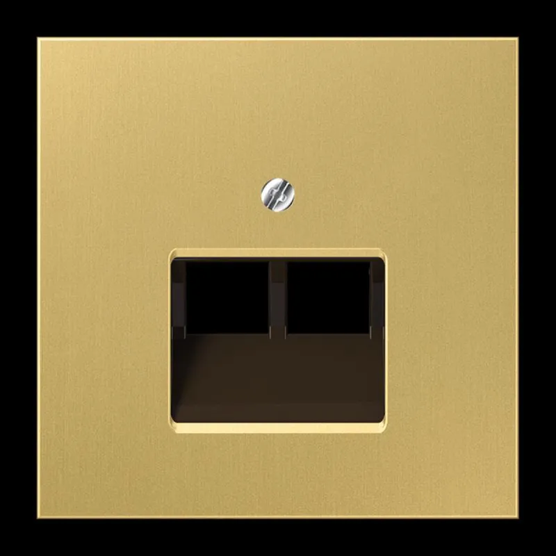 Jung Abdeckung für IAE/UAE-Anschlussdosen 2 x 8-polig, Messing, Serie LS, Messing classic ME2969-2UAC