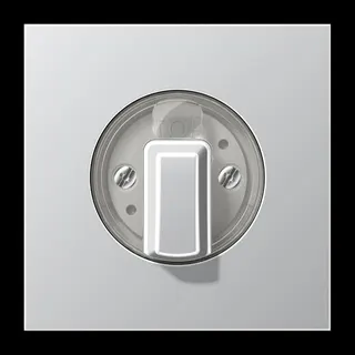 Jung Abdeckung für Drehschalter, Serie LS, Aluminium AL1941