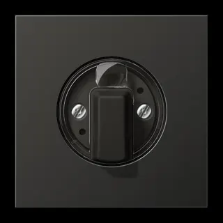 Jung Abdeckung für Drehschalter, Aluminium lackiert, Serie LS, anthrazit (lackiertes Aluminium) AL1941AN