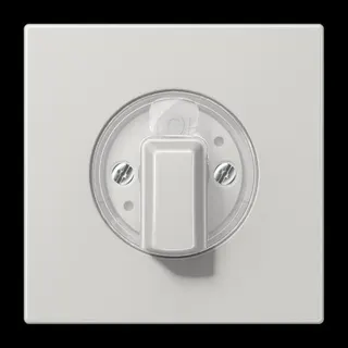 Jung Abdeckung für Drehschalter, Duroplast, Serie LS, lichtgrau LS1941LG