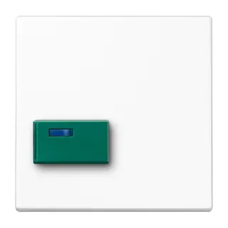 Jung Abdeckung für Ackermann, Typ 73642 C, grün, Serie LS, alpinweiß LS642CWW