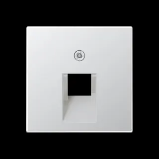 Jung Abdeckung für IAE/UAE-Anschlussdosen 1 x 8-polig, Serie A, aluminium A569-1PLUAAL