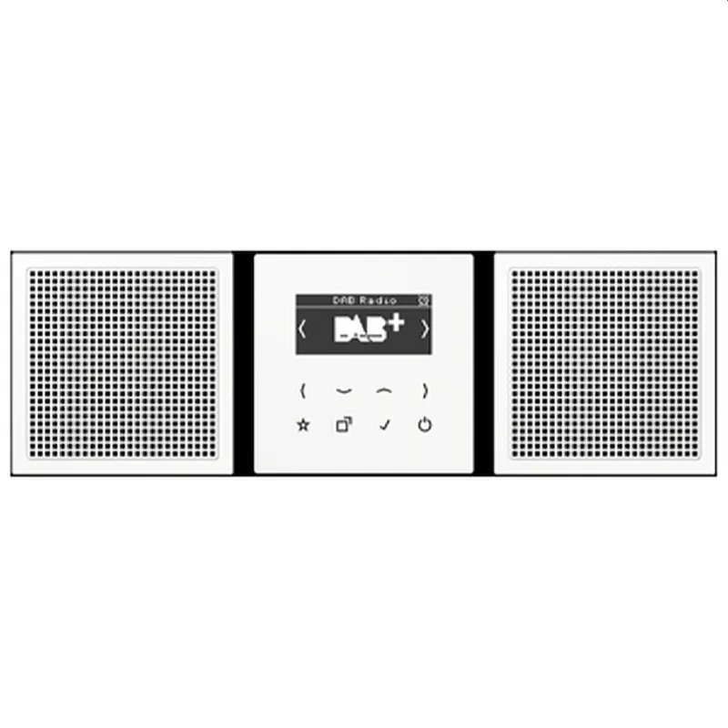 Jung Smart Radio DAB+, Set Stereo, Serie LS, schwarz DABLS2SW