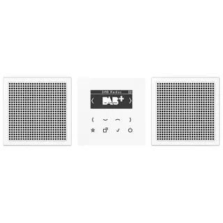 Jung Smart Radio DAB+, Set Stereo, Serie LS, alpinweiß DABLS2WW