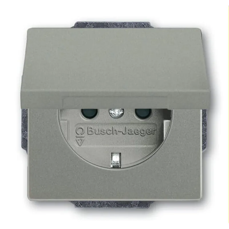 Busch-Jaeger Steckdoseneinsatz 20 EUKBR-803, graumetallisch