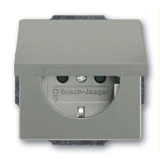 Busch-Jaeger Steckdoseneinsatz 20 EUKBR-803, graumetallisch