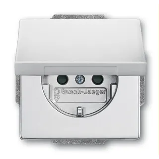 Busch-Jaeger Steckdoseneinsatz 20 EUKBR-83, aluminiumsilber