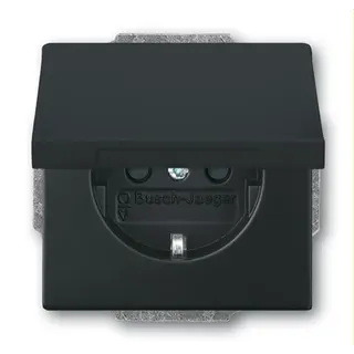 Busch-Jaeger Steckdoseneinsatz 20 EUKBR-885, schwarz matt