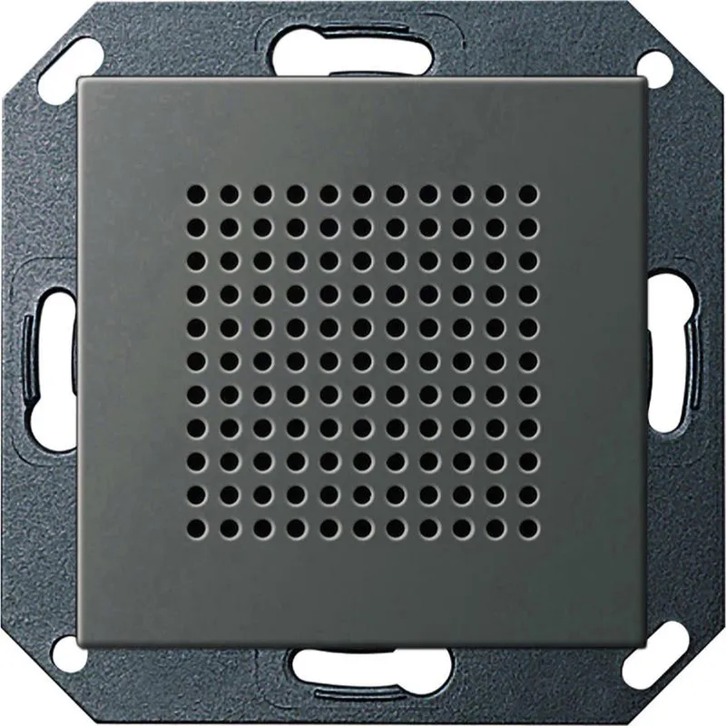Gira UP-Radio 2282600 RDS Lautsprecher 55 Edelstahl 2282600
