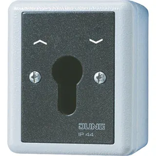 Jung Schlüsselschalter Einsatz, Alu-Druckguss, Jalousie-Wendeschalter, 2-pol. (2 Antriebe), WG 800 804.28GEINS