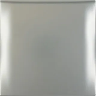 Berker Rahmen M3918282578 1fach chrom matt lackiert