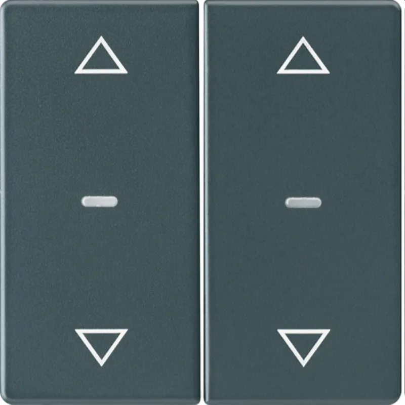Berker Abdeckung f. Tastensen.-Modul 2fach Q.x anthrazit 80961326