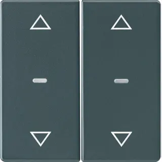 Berker Abdeckung f. Tastensen.-Modul 2fach Q.x anthrazit 80961326