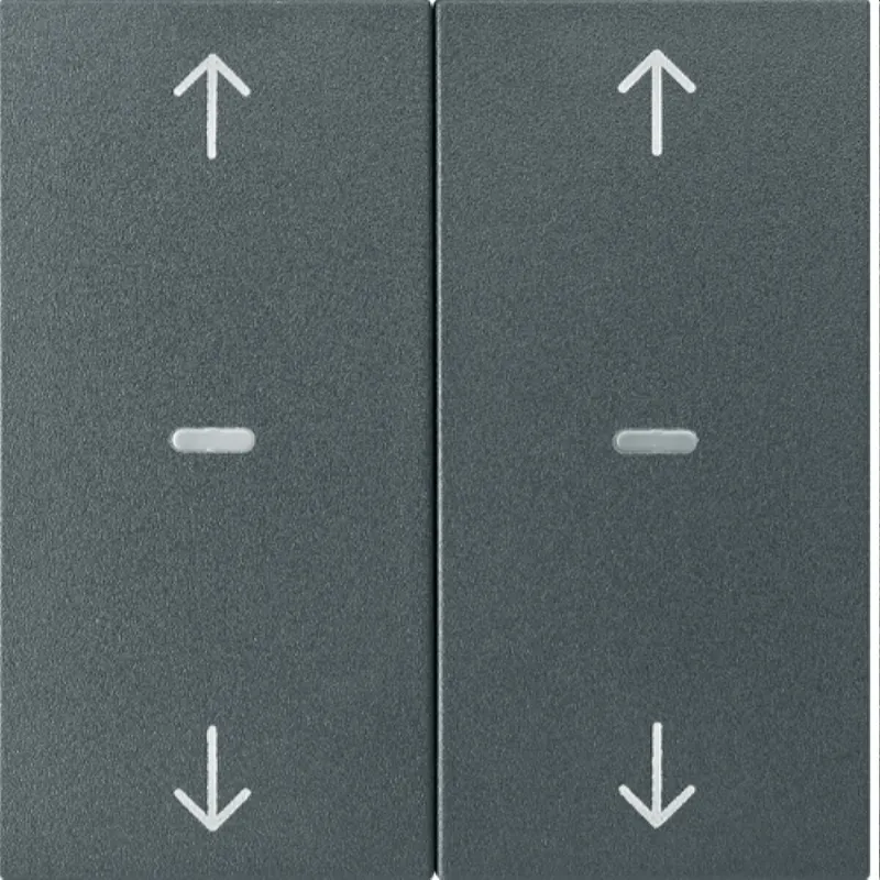 Berker Abdeckung f. Tastensen.-Modul 2fach S.1/B.x anthr. 80961385